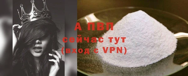 гидра Вязьма