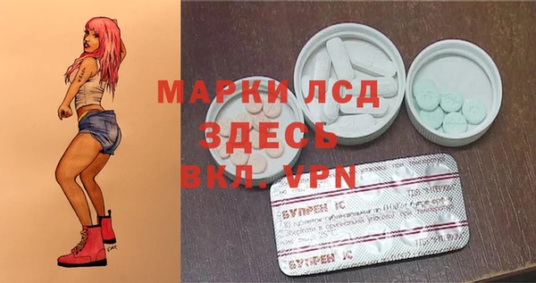 мяу мяу мука Вяземский