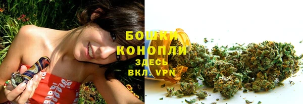 винт Горняк
