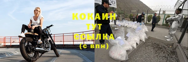 винт Горняк