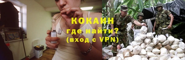 винт Горняк